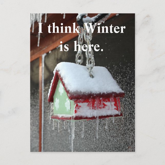 Carte Postale Je pense que l'hiver est là. (Devant)