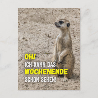 Carte Postale Je peux déjà voir le week-end - suricate