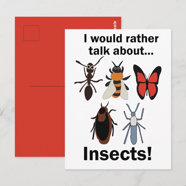 Carte Postale Je préférerais parler des entomologistes des insec (Devant / Derrière)
