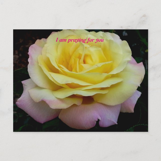 Carte Postale Je prie pour toi (Devant)