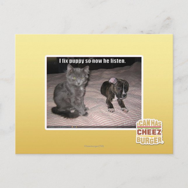 Carte Postale Je répare le chiot (Devant)