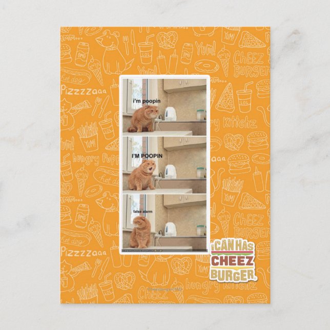 Carte Postale Je suis de la foutaise ! (Devant)