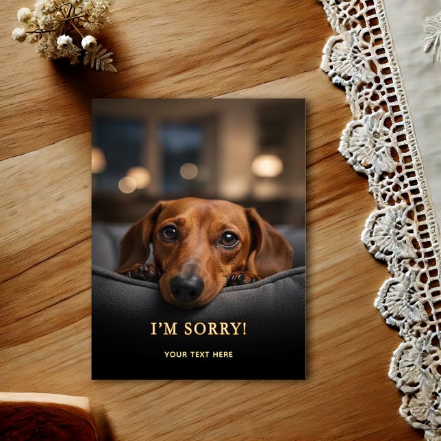 Carte postale Je suis désolé Dachshund adorable (Créateur téléchargé)