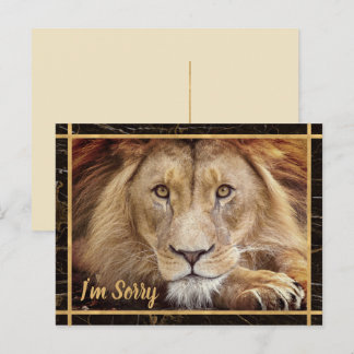 Carte Postale Je suis Désolé Photo Lion