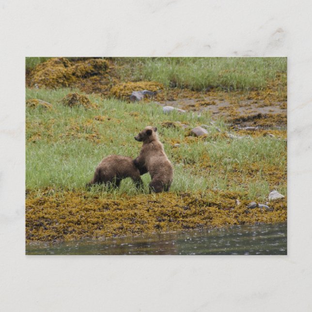 Carte Postale Je suis le patron (Devant)