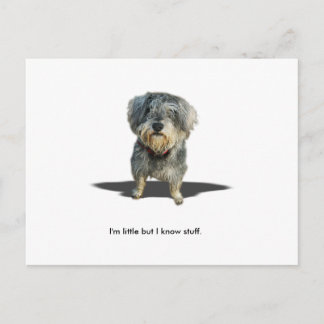 Carte Postale Je suis peu mais je connais la substance