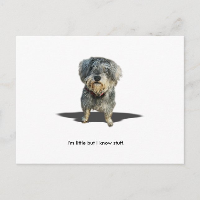 Carte Postale Je suis peu mais je connais la substance (Devant)