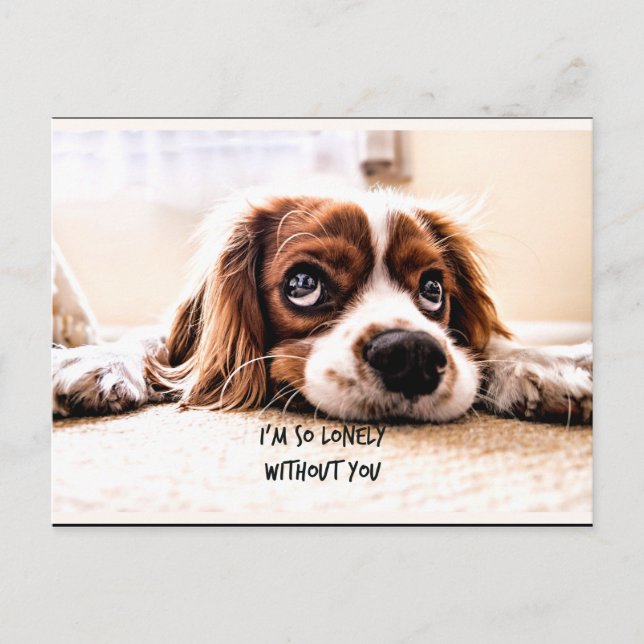Carte Postale Je suis si seul sans toi (Devant)
