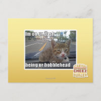 Je suis sur votre tiret