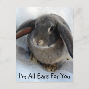 Carte Postale Je suis tous Oreilles pour toi