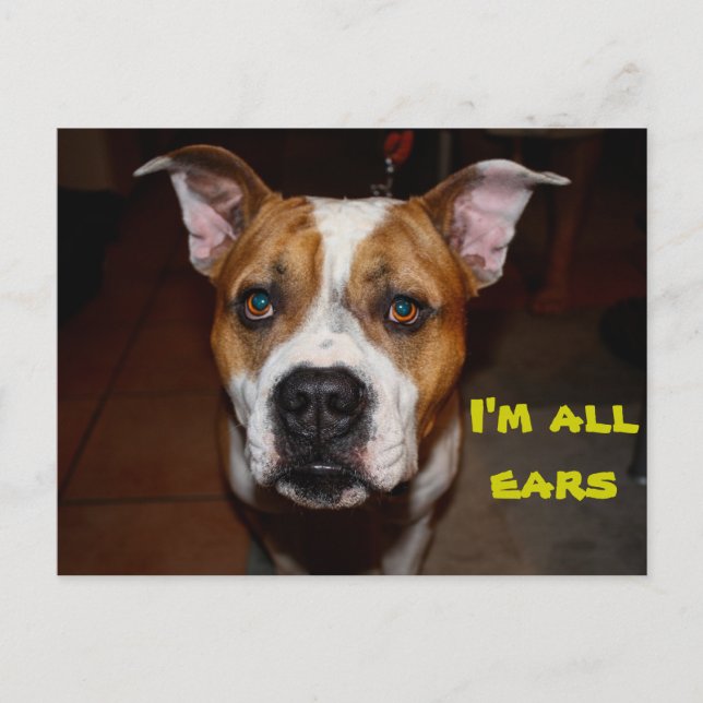 carte postale je suis toute oreille (Devant)