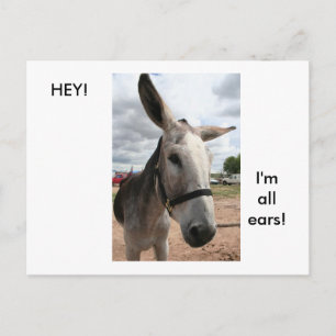 Carte Postale Je suis toutes les oreilles