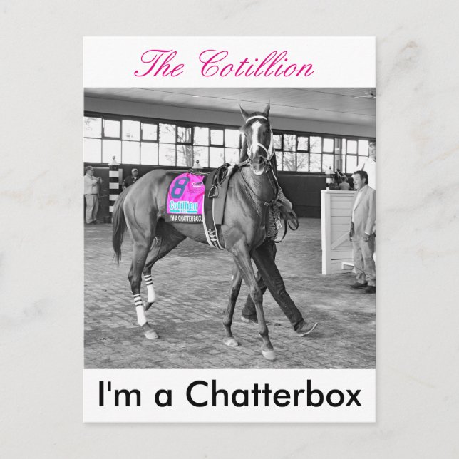 Carte Postale Je suis un Chatterbox (Devant)