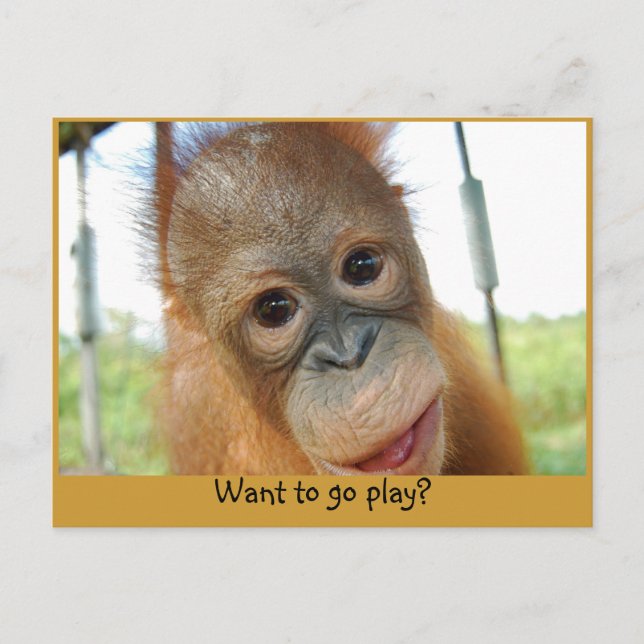 Carte Postale Je suis un mignon primate (Devant)