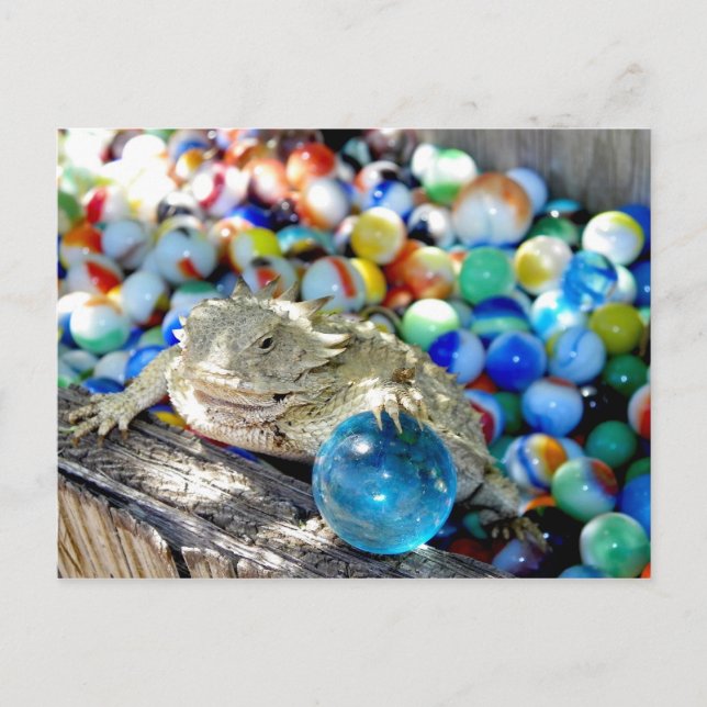 Carte Postale Je Suis Un Tireur Droit — "Le Temps Du Marbre" (Devant)