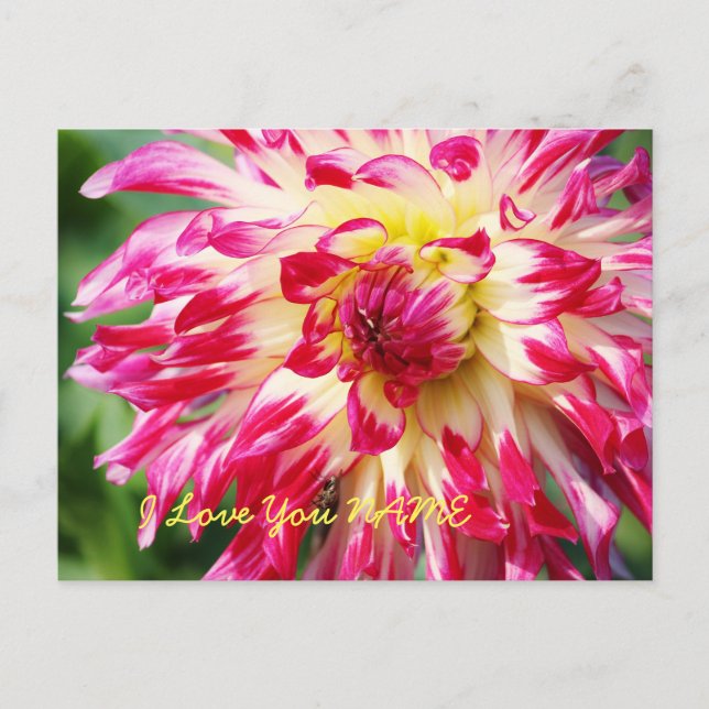 Carte Postale Je T'Aime (Devant)