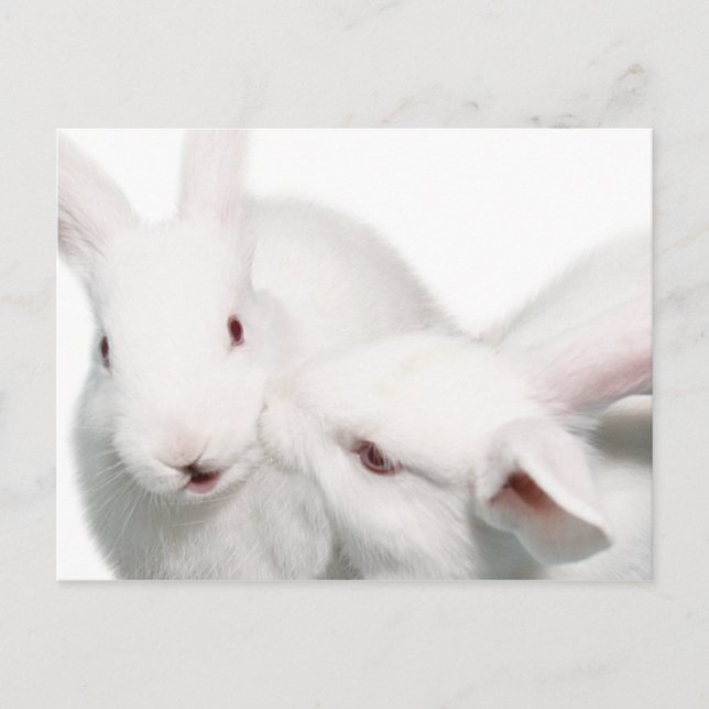 Carte Postale Je t'aime (Devant)