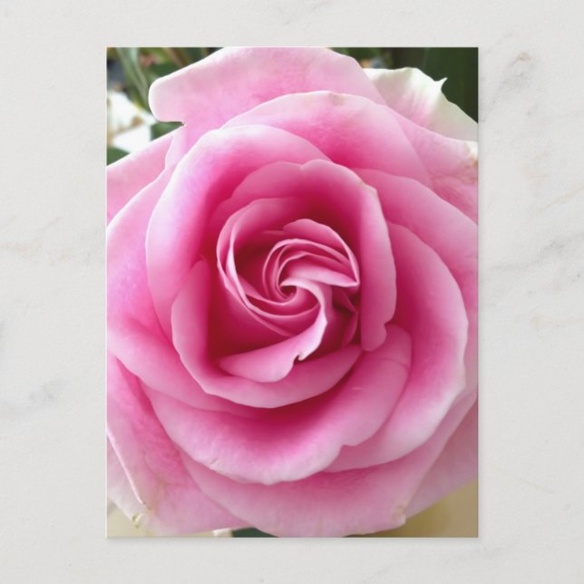 Carte Postale Je T'Aime Fleur Rose (Devant)