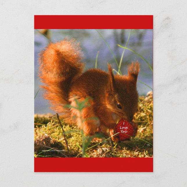 Carte Postale Je T'Aime Fraise (Devant)