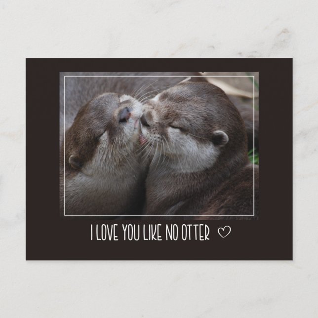 Carte Postale Je T'Aime Pas D'Otter Mignonne Photo (Devant)