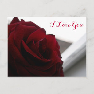 Carte Postale Je T'Aime (Rose Rouge)