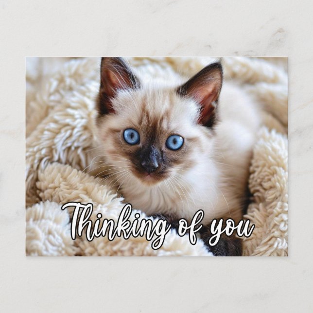 Carte Postale Je te manque - Joli chat siamois (Devant)