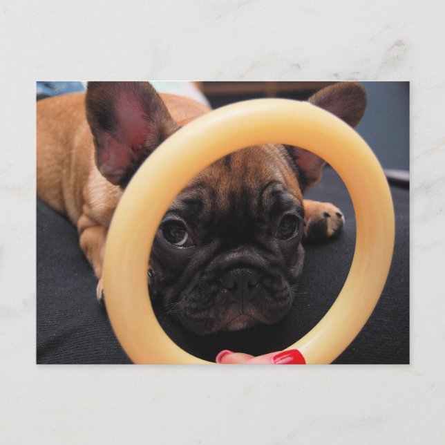 Carte postale "Je te vois" (Devant)