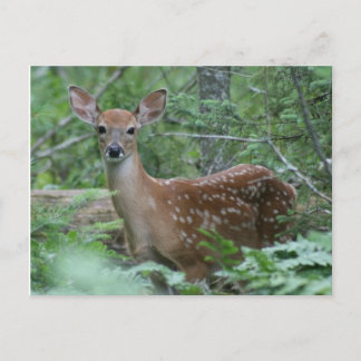 Carte Postale Je Te Vois