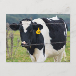 Carte Postale Je te vois