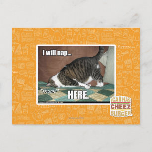 Carte Postale Je vais faire la sieste ici