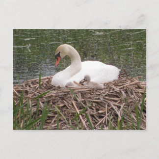 Carte Postale "Je Veux Être Comme Maman"