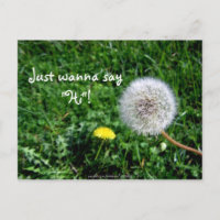 Je veux juste dire "Salut" ! Dandelions Salutation