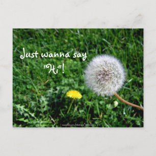 Carte Postale Je veux juste dire "Salut" ! Dandelions Salutation