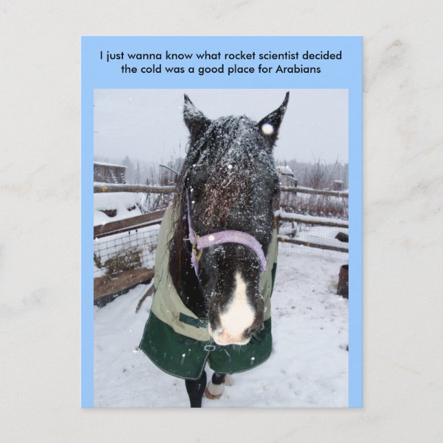 Carte Postale Je veux juste savoir quelle fusée... (Devant)