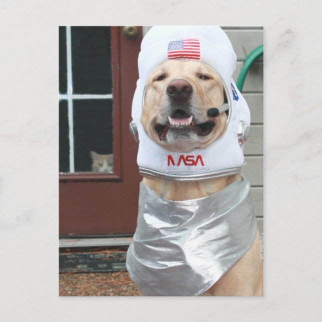 Carte Postale Je veux prendre des photos (Devant)