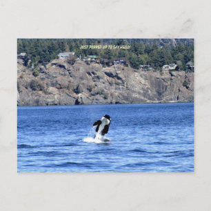 Carte Postale Je Viens De Presser Pour Dire Bonjour !