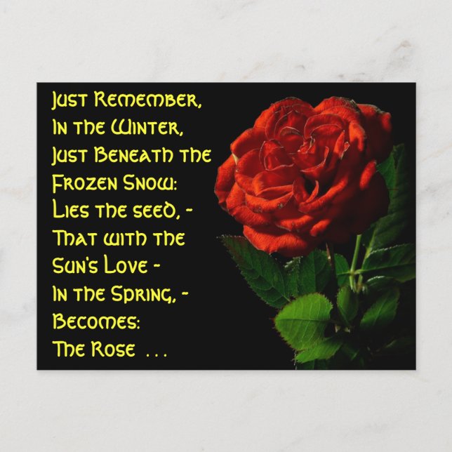Carte Postale Je viens en Rose... (Devant)