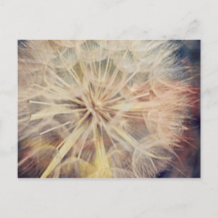 Carte Postale Je Voudrais... -Carte postale