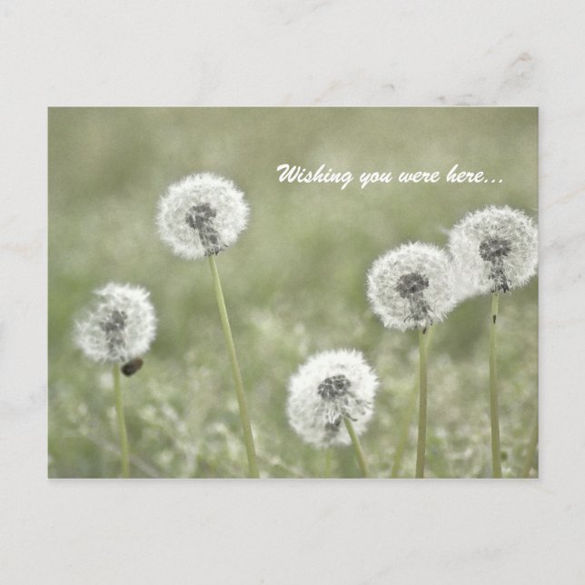 Carte Postale Je vous souhaite d'être ici... (Devant)