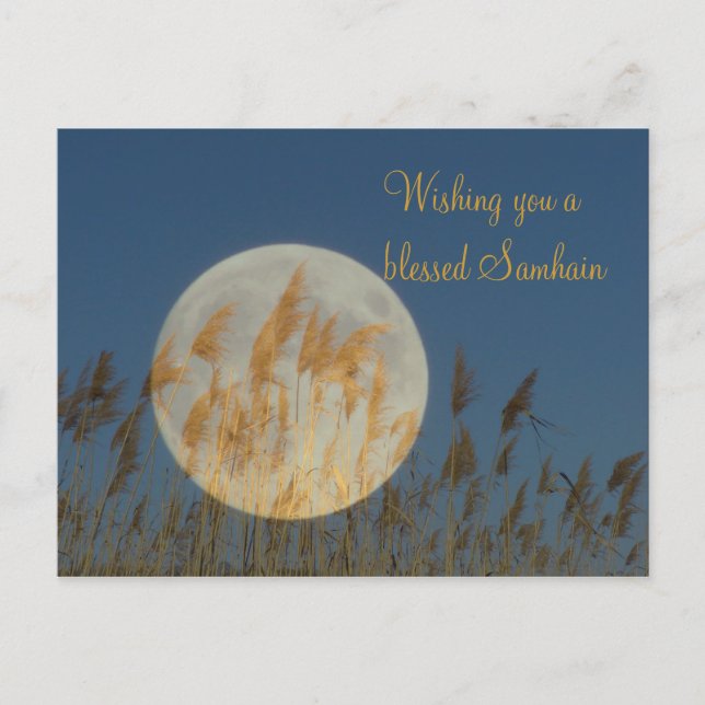 Carte Postale Je vous souhaite la bénédiction de Samhain (Devant)