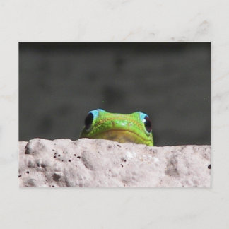 Carte Postale Je vous vois gecko