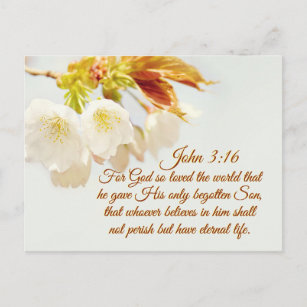 Carte Postale Jean 3:16 Dieu a tant aimé le monde, Écriture
