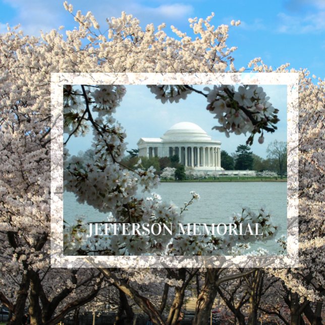 Carte Postale Jefferson Memorial, Cerisiers en Fleurs, Tidal Bas (Créateur téléchargé)
