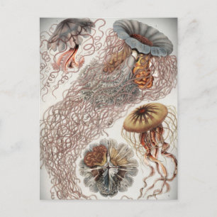 Carte Postale Jellies (méduses) aux couleurs pastel