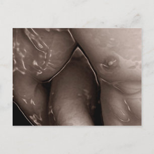 Carte Postale Jelling Embrace