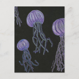 Carte postale Jellyfish