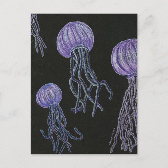 Carte postale Jellyfish (Devant)