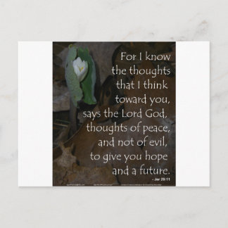 Carte Postale Jeremiah 29:11 espoir pour l'avenir