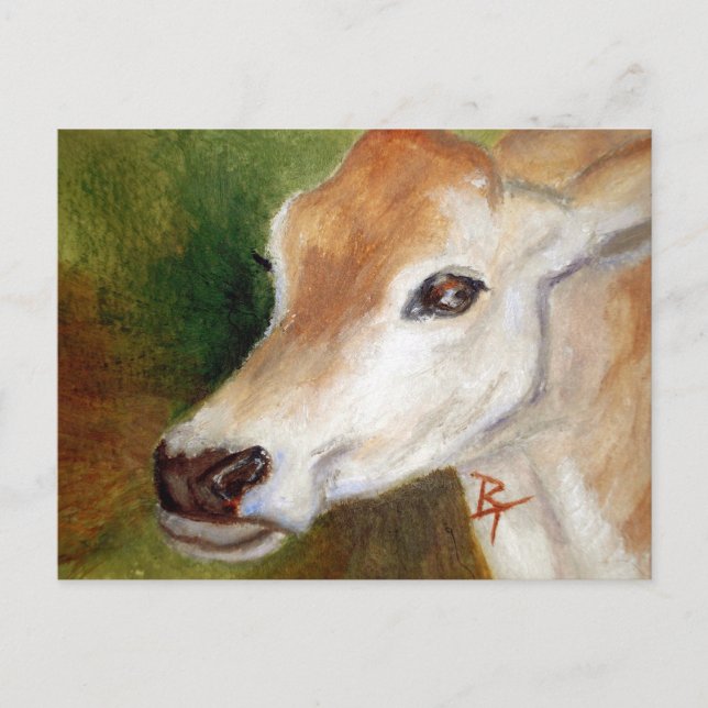 Carte Postale Jersey Cow (Devant)