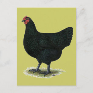 Carte Postale Jersey Giant :  Hen noir